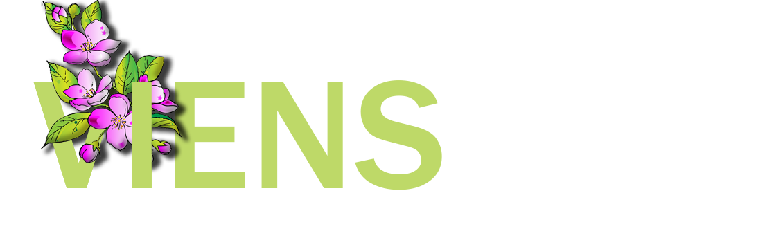 Justin Viens Architecture